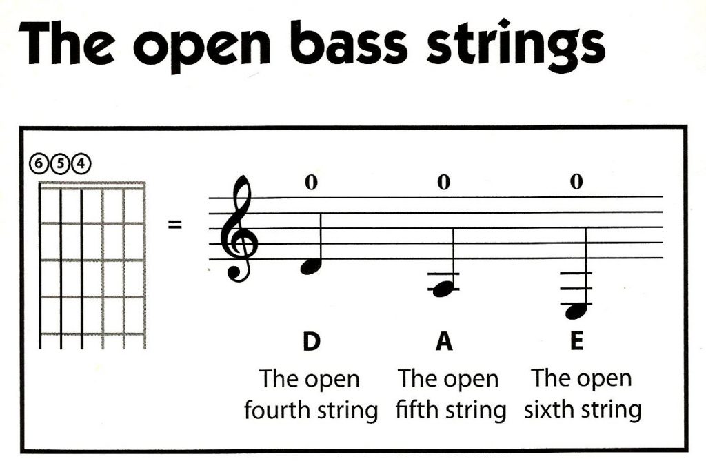 Bass Strings0008